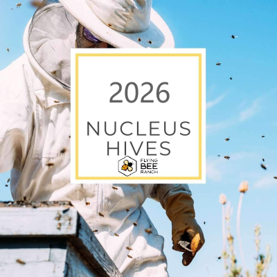 2026 Nuc